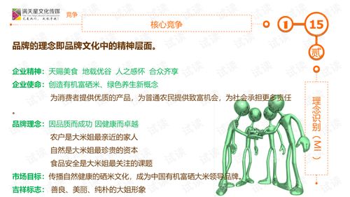 大米姐品牌营销策划案商业计划书精品模板.ppt